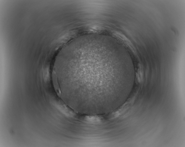 X0000112110520200908041544