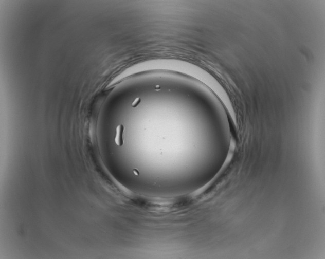 X0000112110521200908041544