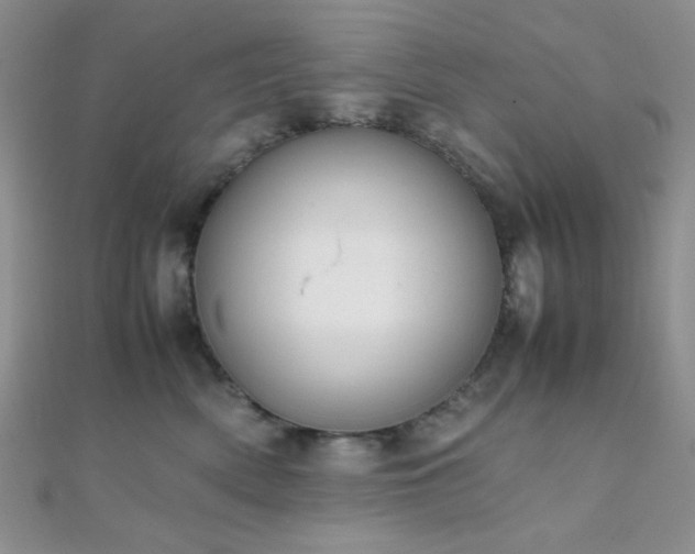 X0000112110522200908041544