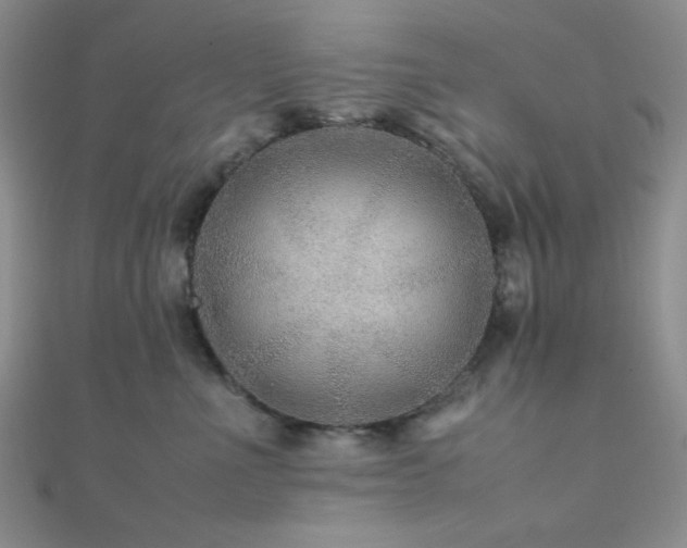 X0000112110523200908041544