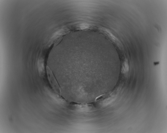 X0000112110524200908041544