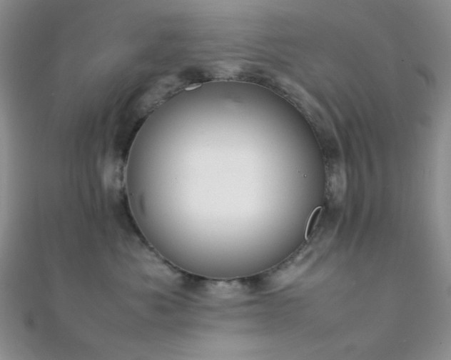 X0000112110525200908041544