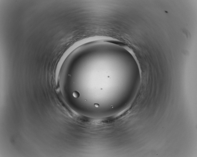 X0000112110528200908041544