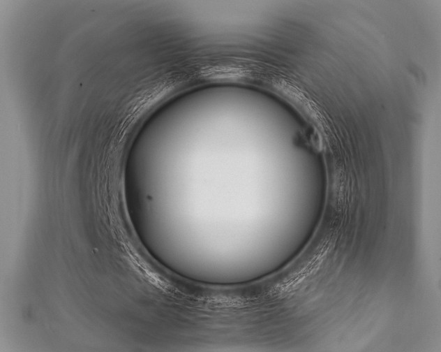 X0000112110529200908041543