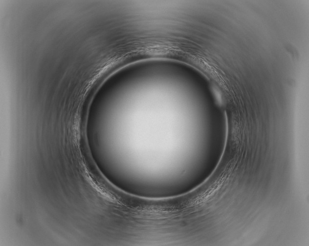 X0000112110530200908041543