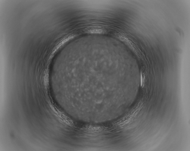 X0000112110531200908041543