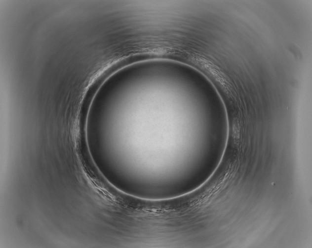 X0000112110532200908041543