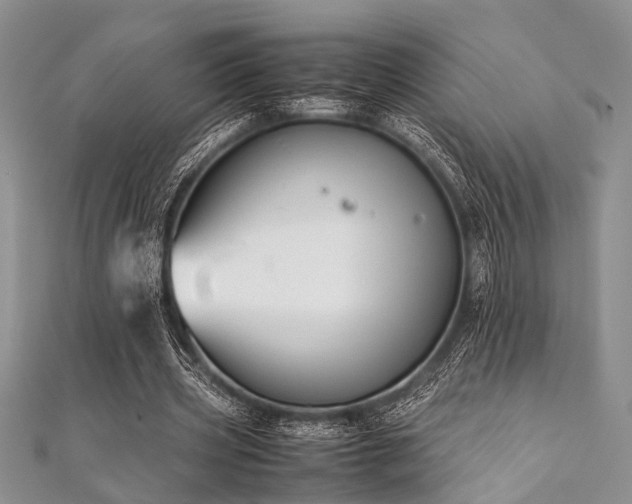 X0000112110533200908041543