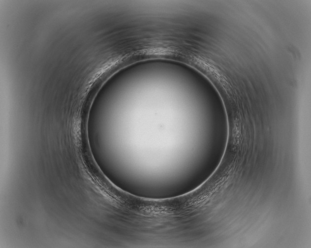 X0000112110535200908041543