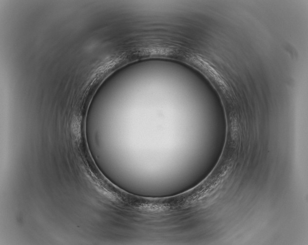 X0000112110537200908041543