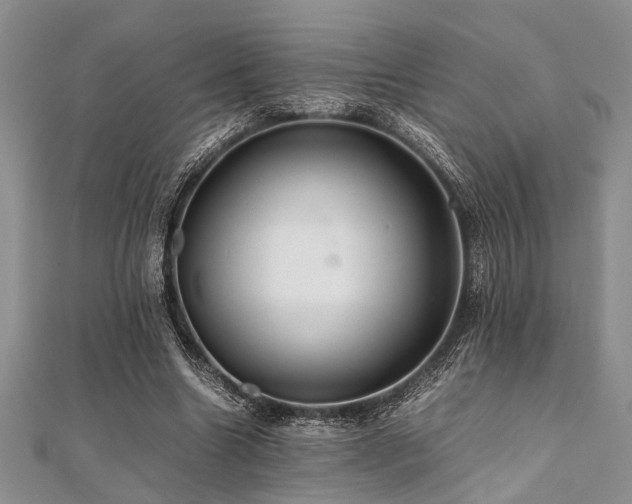 X0000112110538200908041543