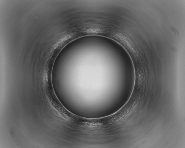 X0000112110539200908041543