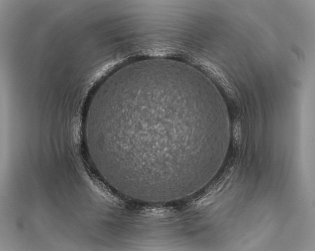 X0000112110540200908041543