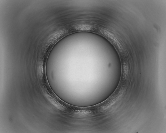 X0000112110541200908041543