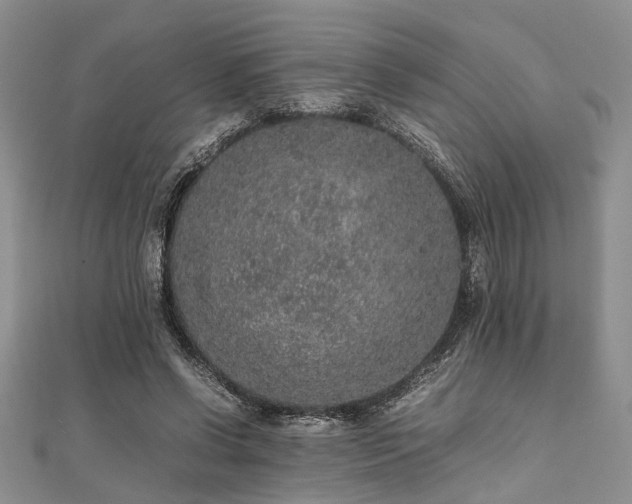 X0000112110542200908041543