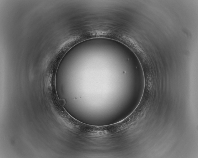 X0000112110543200908041543