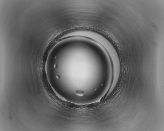 X0000112110544200908041543