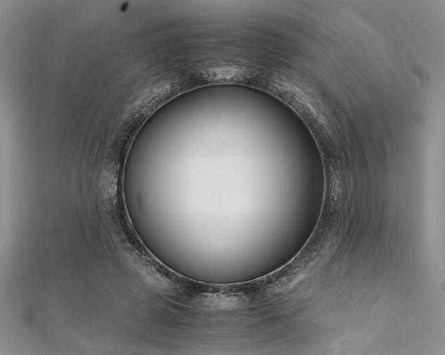 X0000112110545200908041543