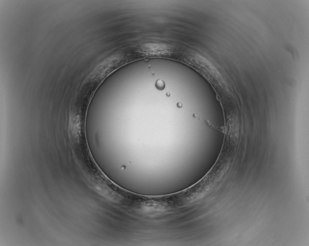 X0000112110549200908041543