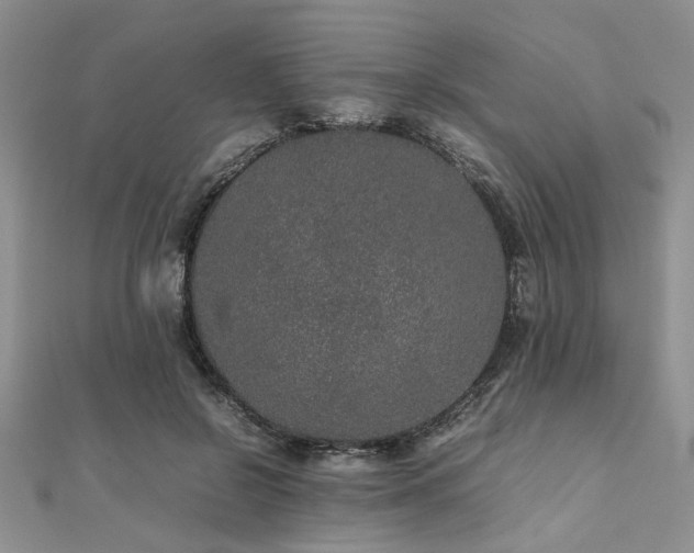 X0000112110550200908041543