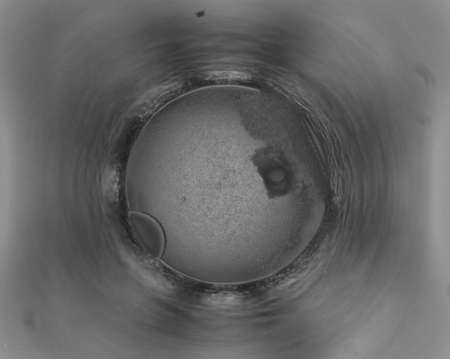 X0000112110551200908041543