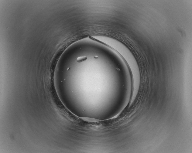 X0000112110552200908041543