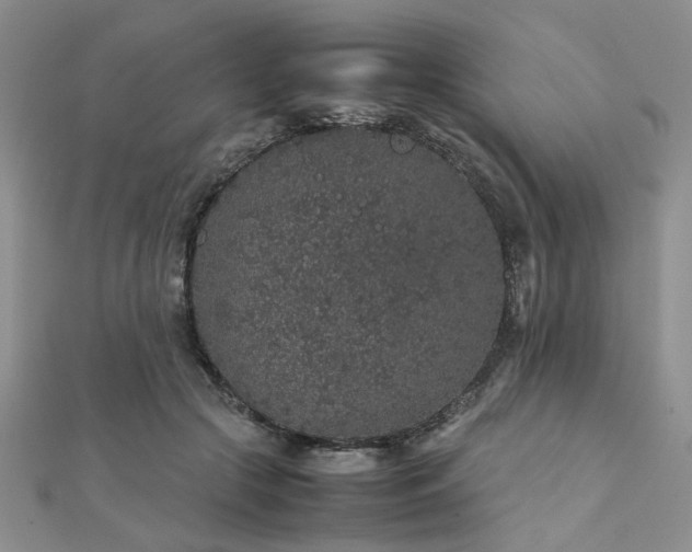 X0000112110553200908041543