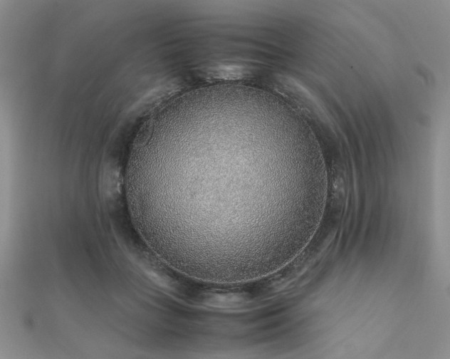 X0000112110555200908041543