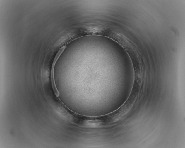 X0000112110556200908041543