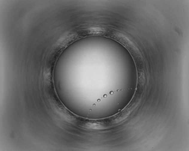 X0000112110557200908041543