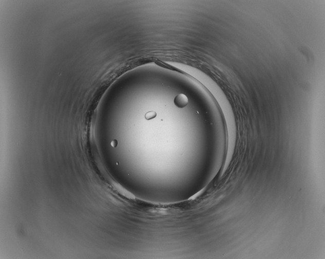 X0000112110558200908041543