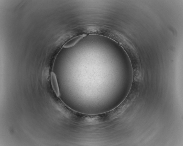 X0000112110560200908041543