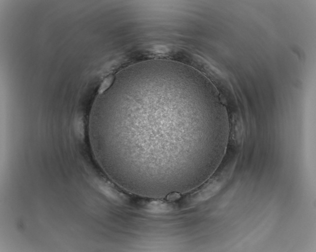 X0000112110562200908041543