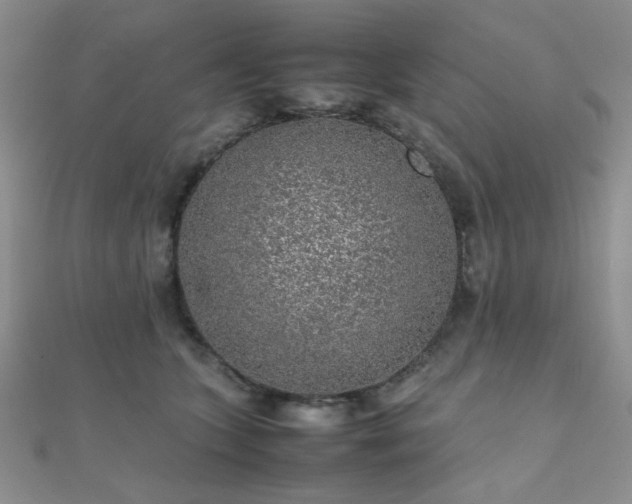 X0000112110563200908041543