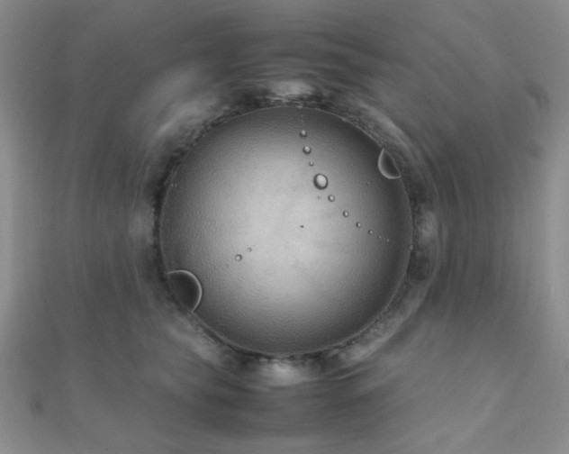 X0000112110565200908041543