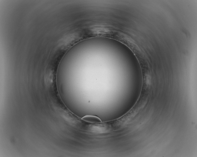 X0000112110567200908041543