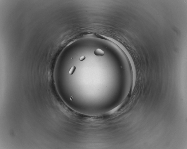 X0000112110568200908041543