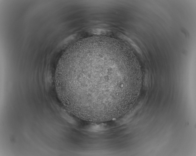 X0000112110569200908041543