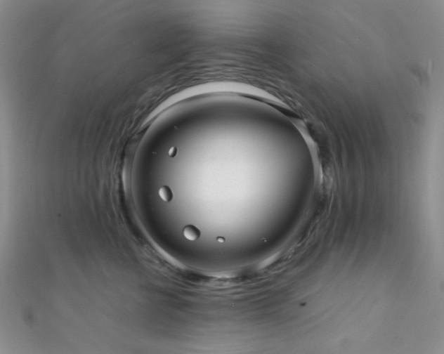 X0000112110570200908041543