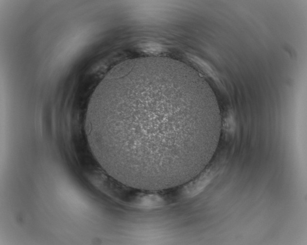 X0000112110572200908041543