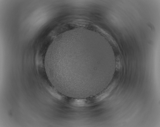 X0000112110573200908041543