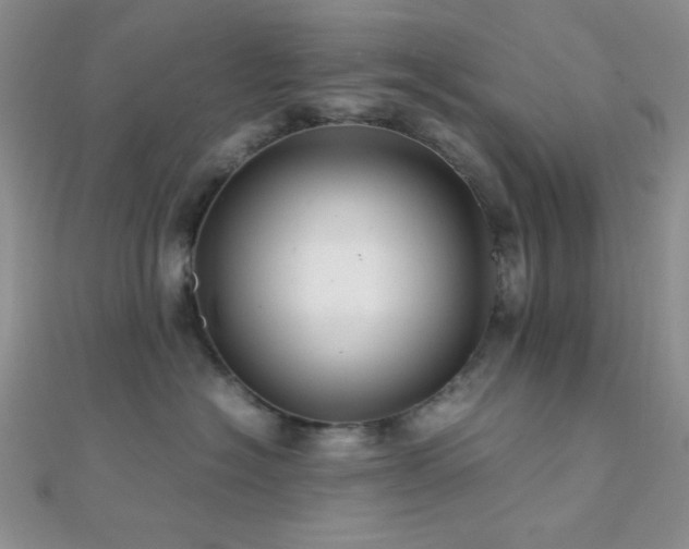 X0000112110574200908041543