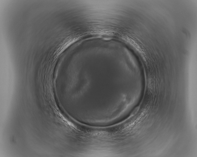 X0000112110577200908041543