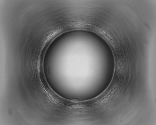 X0000112110578200908041543