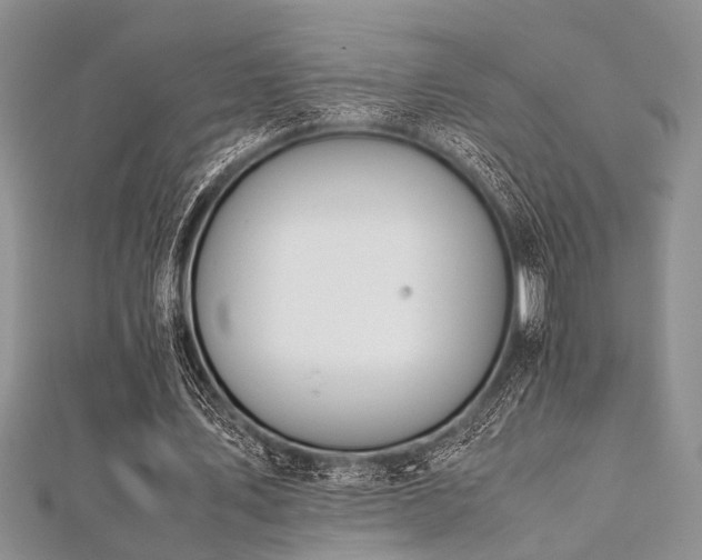 X0000112110579200908041543