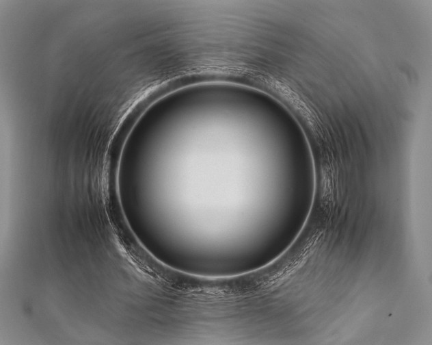 X0000112110580200908041543