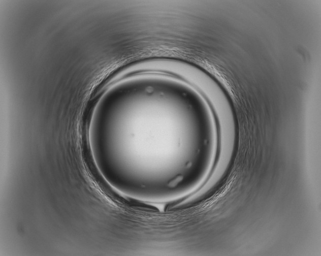 X0000112110581200908041543