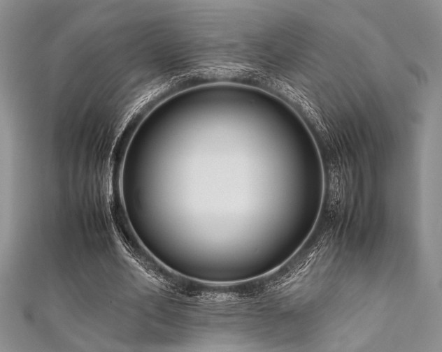 X0000112110582200908041543