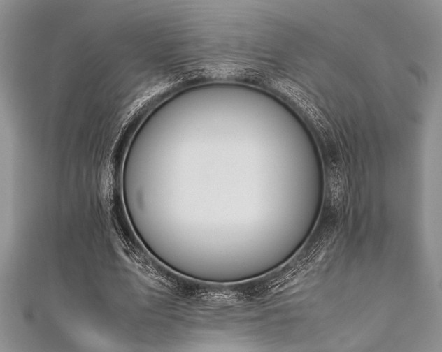 X0000112110583200908041543