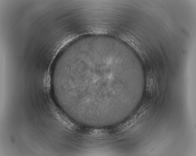 X0000112110584200908041543